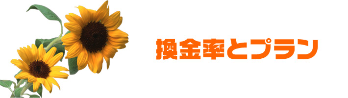 換金率とプラン